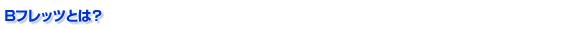 B�t���b�c�Ƃ́H
